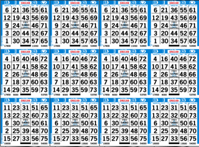 12-Face Bingo Paper - Case