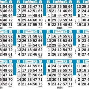 12-Face Horizontal Bingo Paper - Case