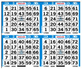 Bingo Paper: Cases - Click to Shop!